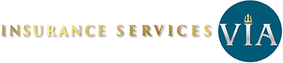 website-via-logo